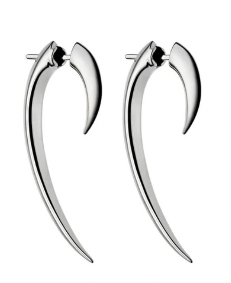 Hook Earrings